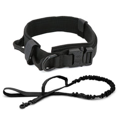 Nylon Dog Collar