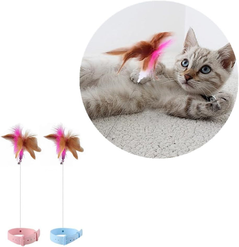 Cat collar and teaser toy