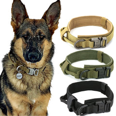 Nylon Dog Collar