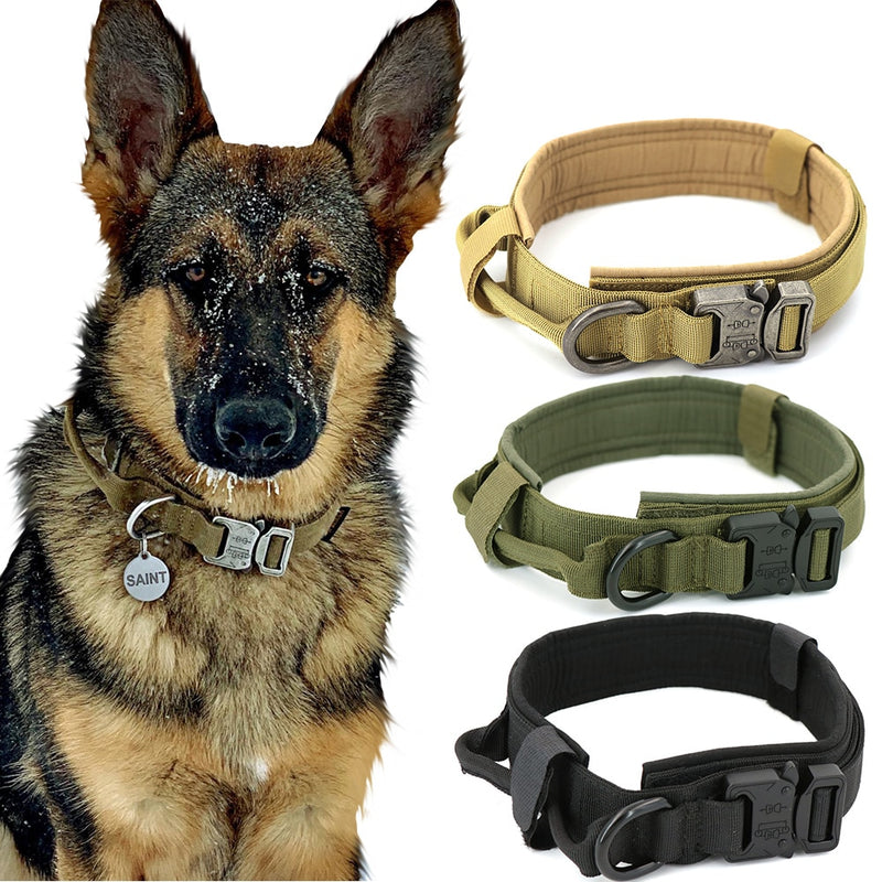 Nylon Dog Collar