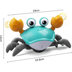 Crawling Crab Baby Toy