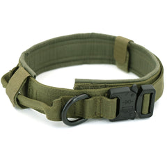Nylon Dog Collar