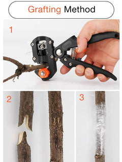 Garden Tools: Pruning Shears