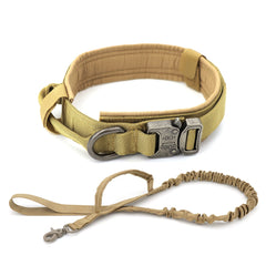 Nylon Dog Collar