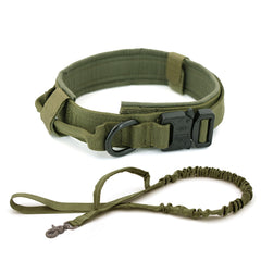 Nylon Dog Collar