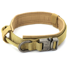 Nylon Dog Collar